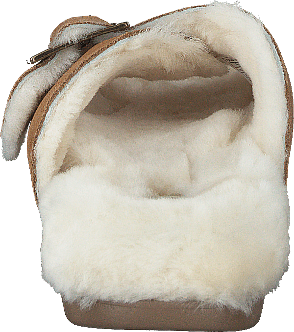 W Outslide Buckle Chestnut Suede - Bild 5