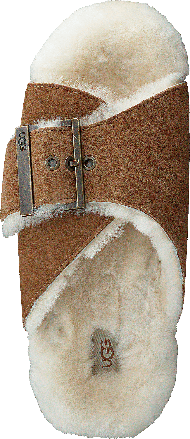 W Outslide Buckle Chestnut Suede - Bild 6
