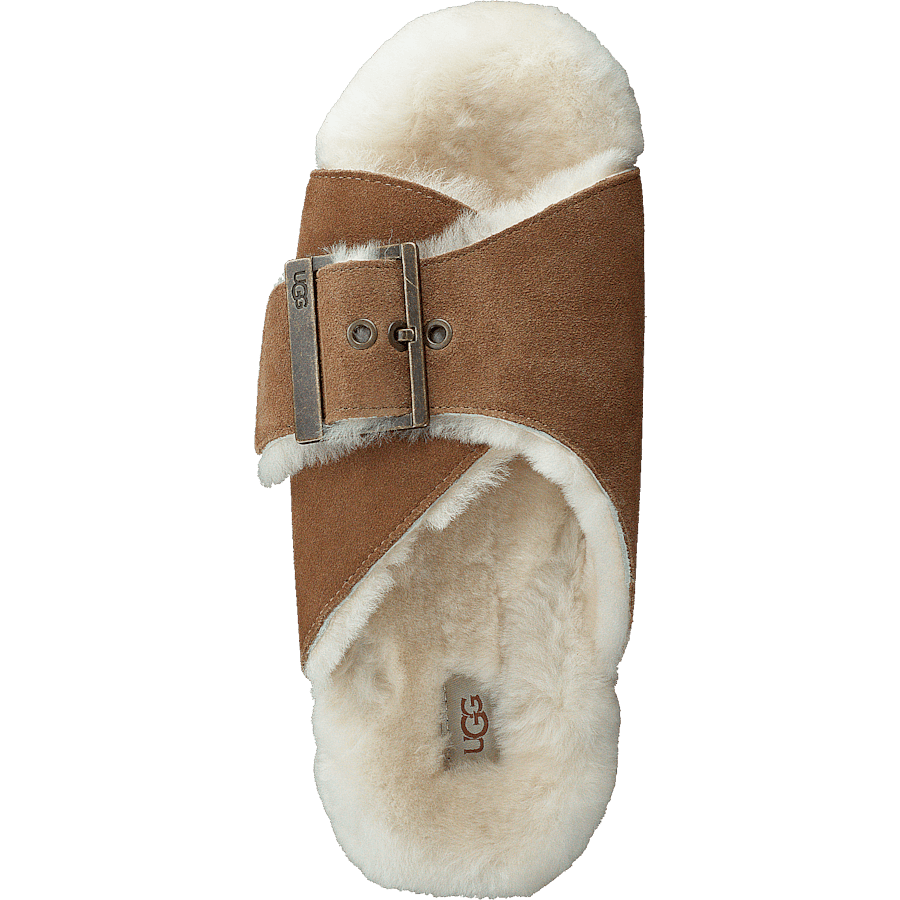W Outslide Buckle Chestnut Suede - Bild 6