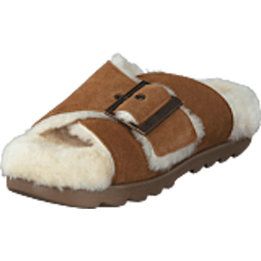 W Outslide Buckle Chestnut Suede - Bild 9
