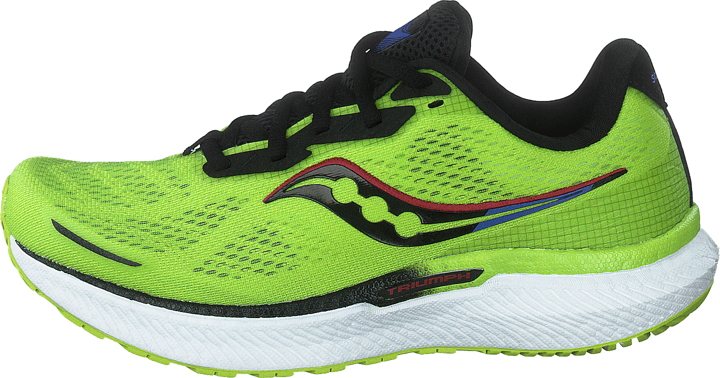 Triumph 19 Acid/blue Raz