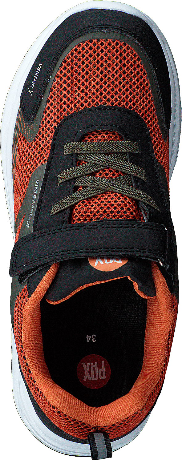 Perry Orange - Bild 6