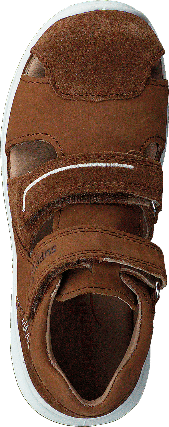 Bumblebee Brown - Bild 6