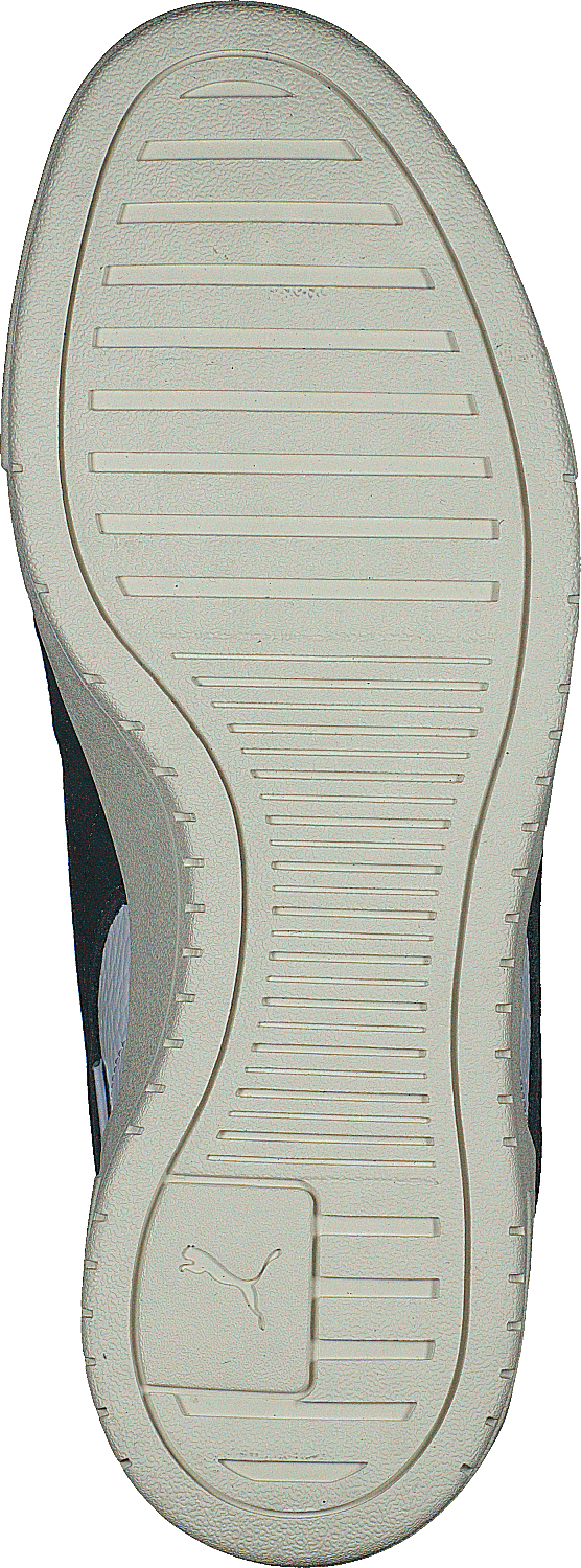Ca Pro Lux Puma -evening Sky - Bild 7