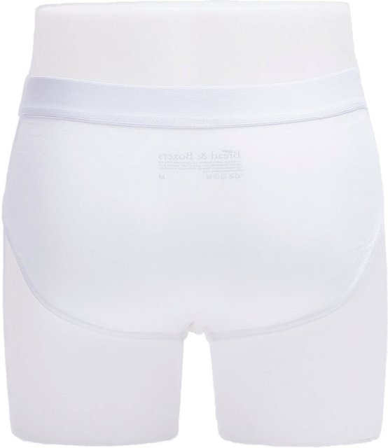 Brief