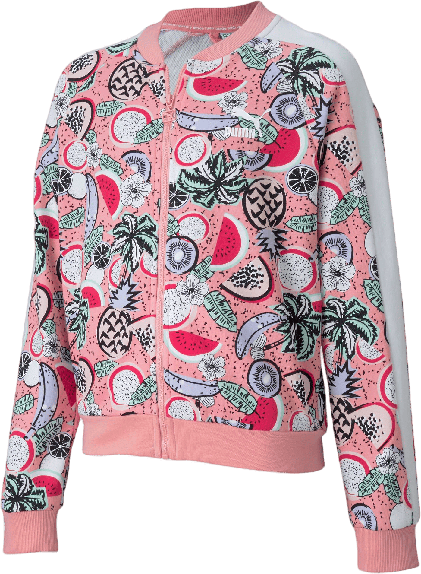 Classics Fruit Jacket G Pink