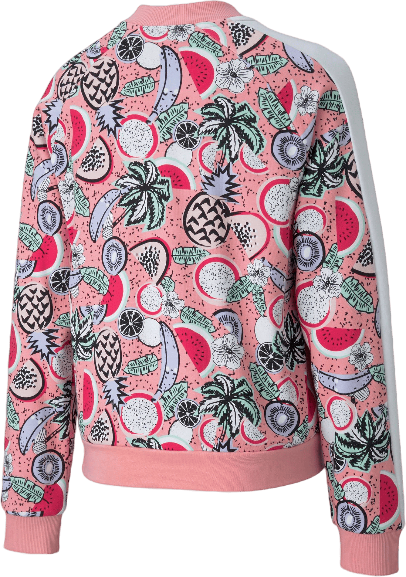 Classics Fruit Jacket G Pink - Bild 2