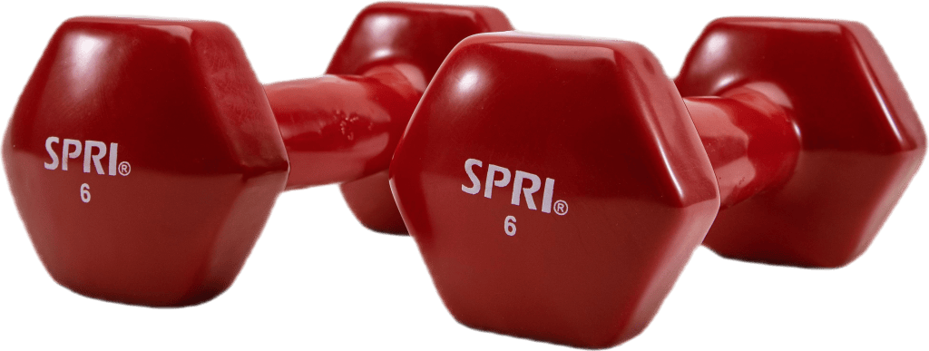 Dumbbell Vinyl 2,7KG/6LBS, Unisex, Utrustning, Träningsutrustning, Träning, Röd, ONESIZE