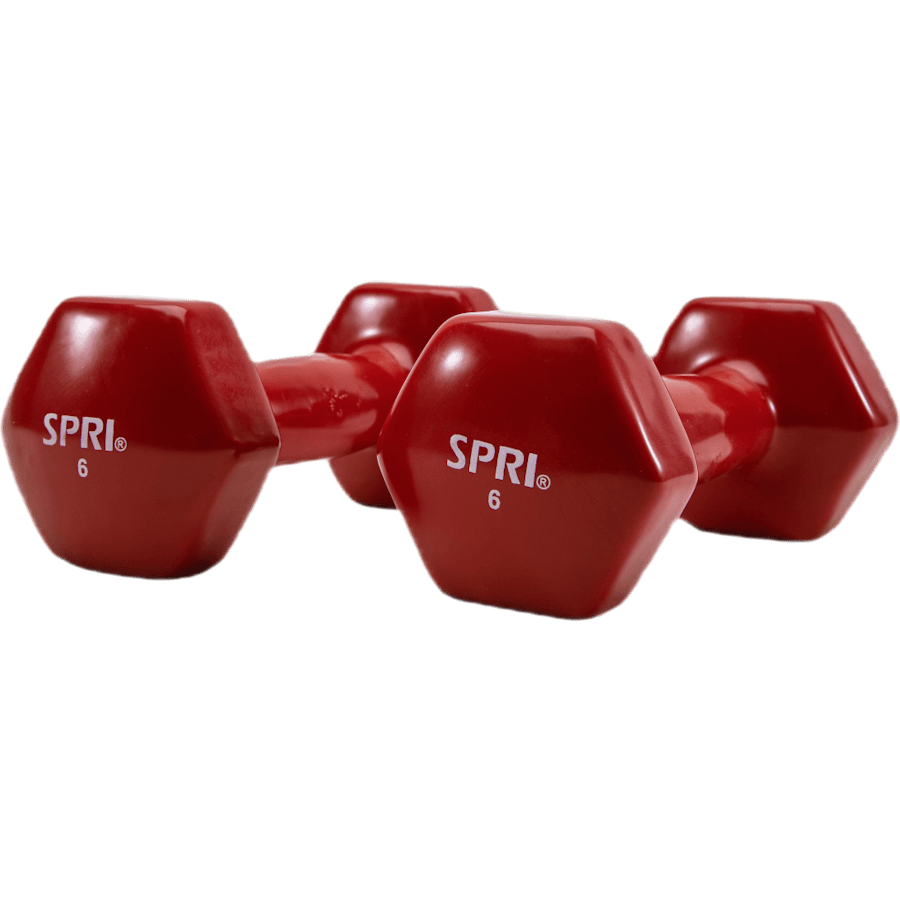 Dumbbell Vinyl 2,7KG/6LBS