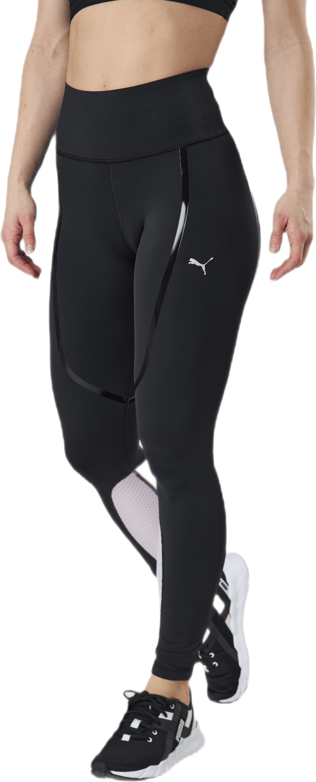 Train Bonded High Waist Full Tight Purple/Black