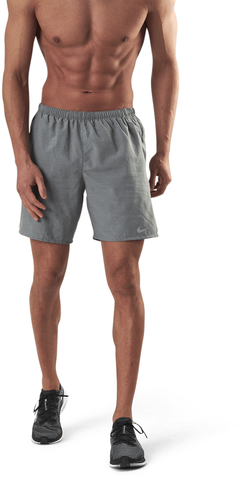 Challenger Short 7" Brief-Line Grey, Male, Kläder, Shorts, Löpning, Grå, S