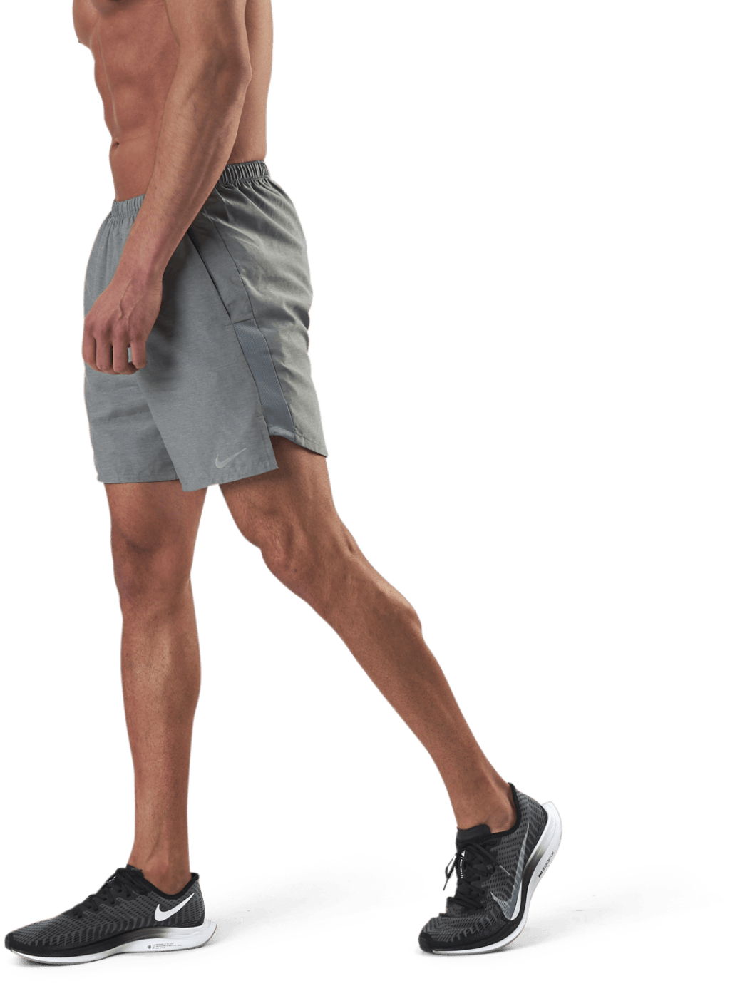 Challenger Short 7" Brief-Line Grey - Bild 2