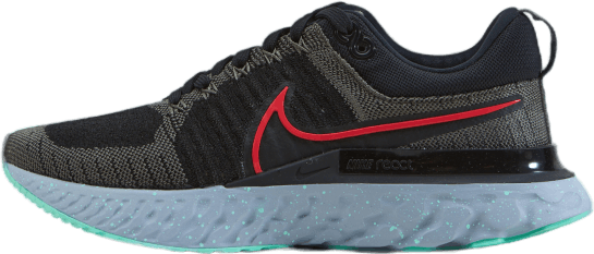 react infinity run flyknit 2 black