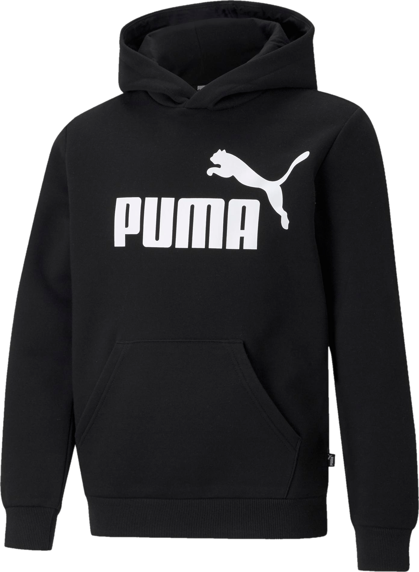 ESS Big Logo Hoodie FL Junior Black