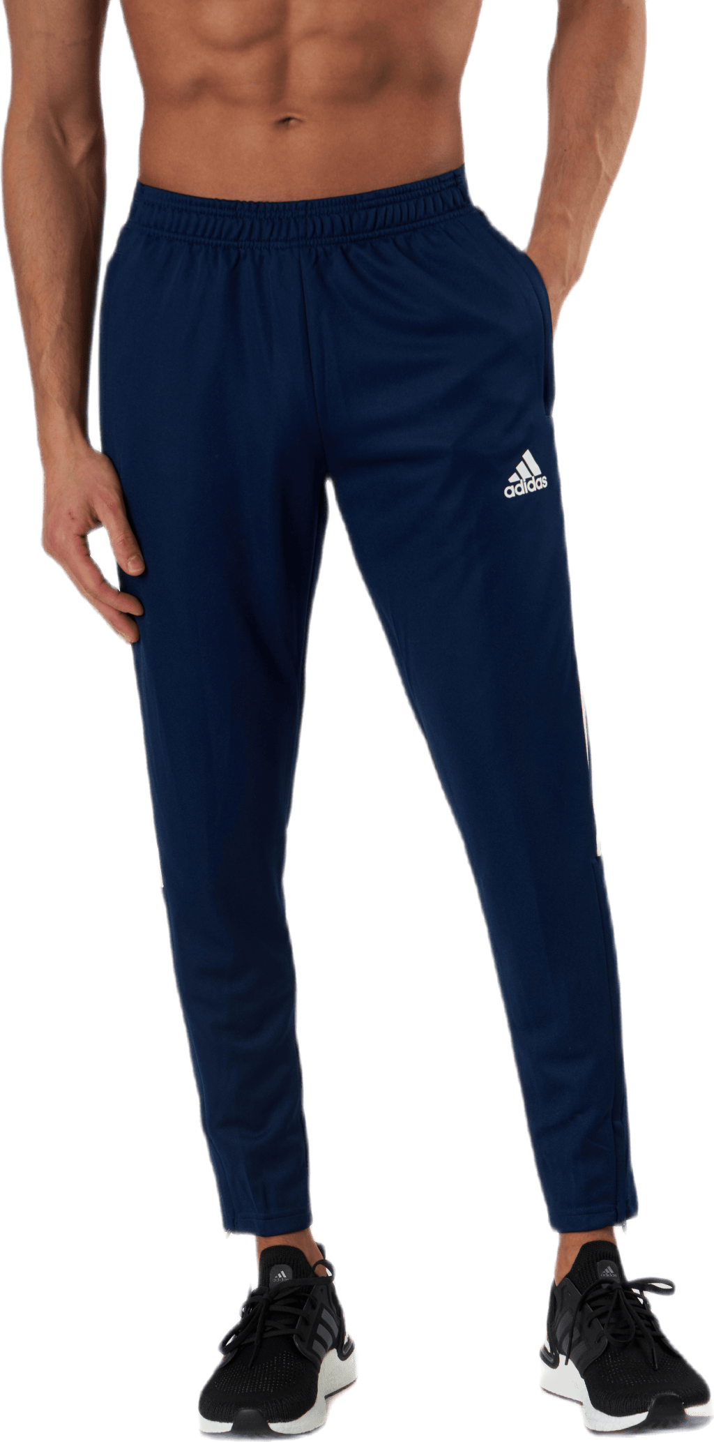 Tiro21 Training Pant Slim Team Navy Blue, Male, Odzież, Spodnie, Piłka nożna, Niebieski, S