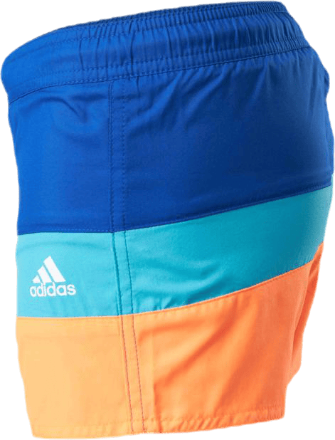 Boys Colorblock Shorts Team Royal Blue / Screaming Orange - Bild 2