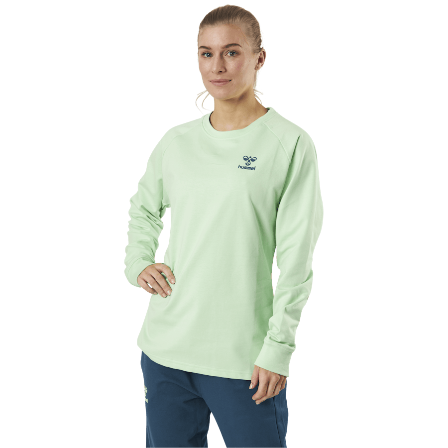 Cotton Sweatshirt Blue/Green