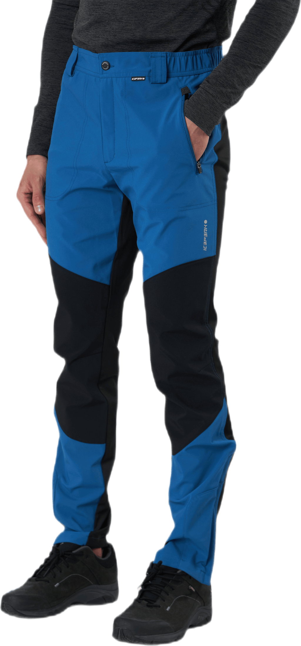 Dorr Blue - Bild 2