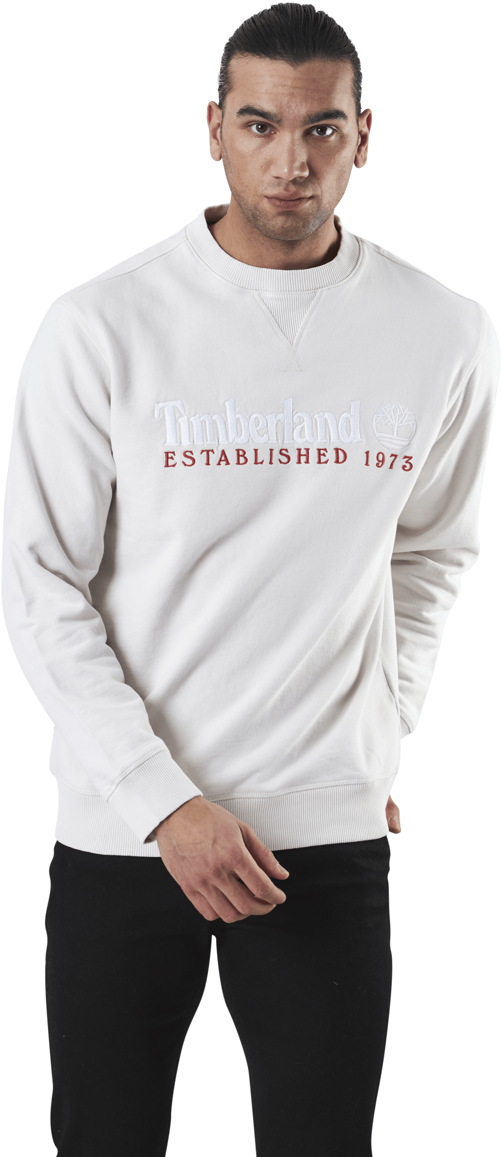 Est1973 Crew Sweats Beige, Male, Apparels, Shirts, Beige, L