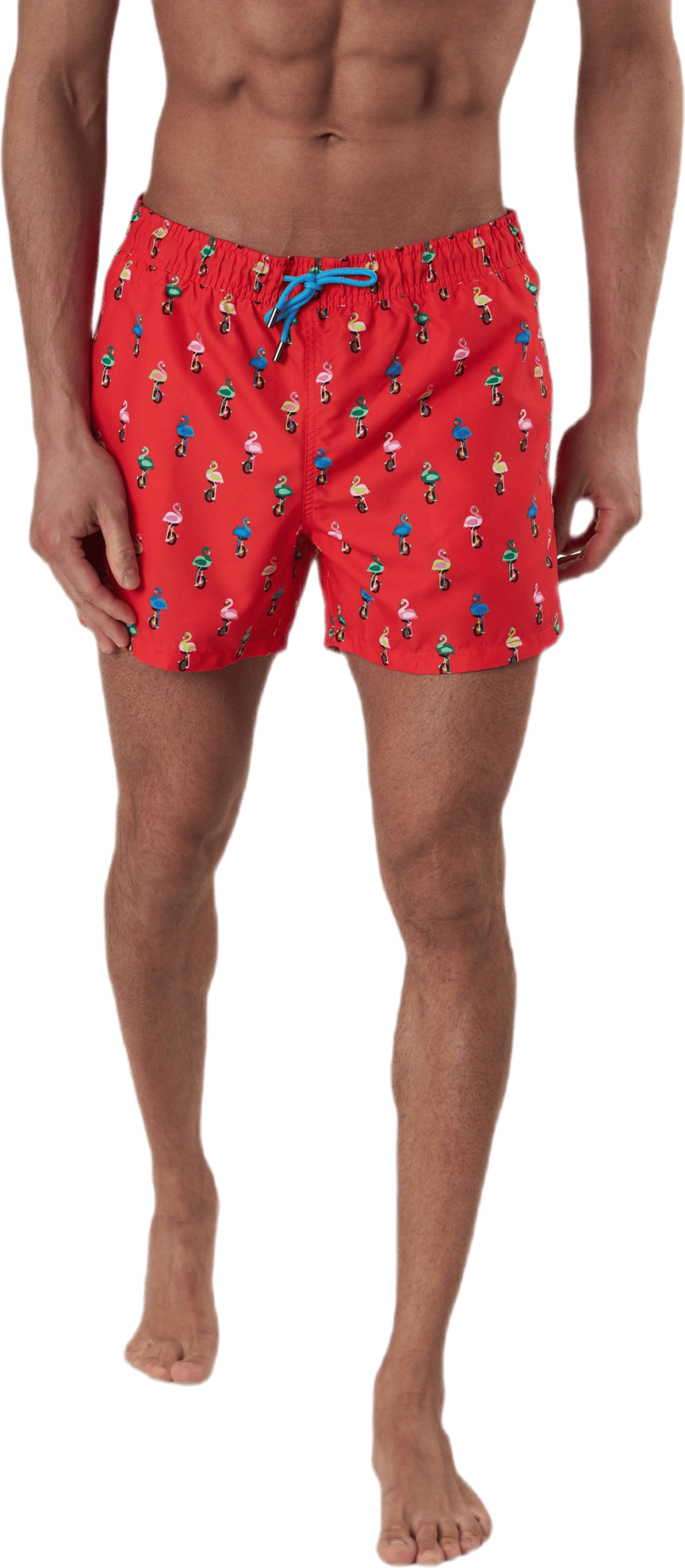 Flamingo Swimshorts Red