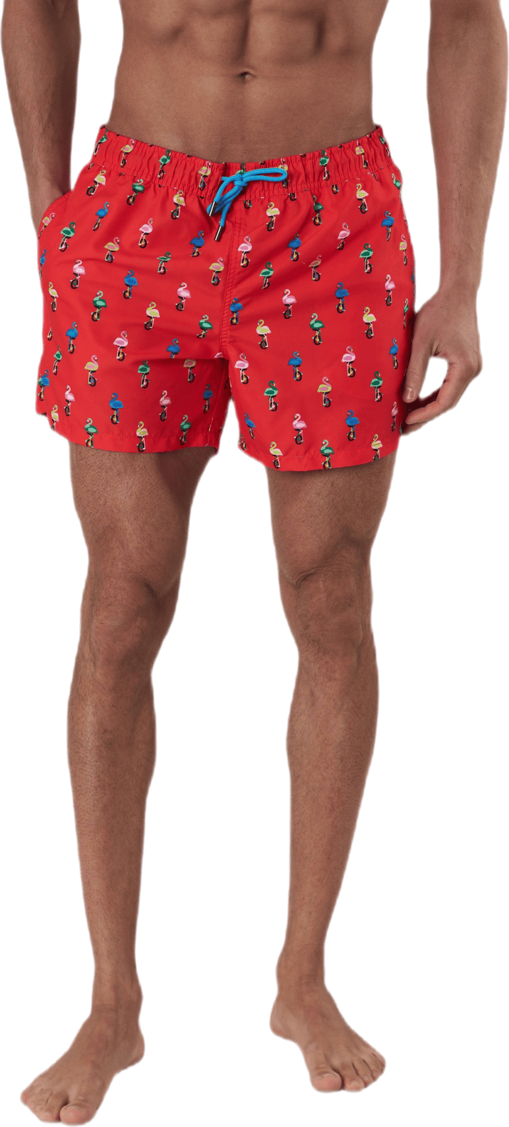 Flamingo Swimshorts Red - Bild 2