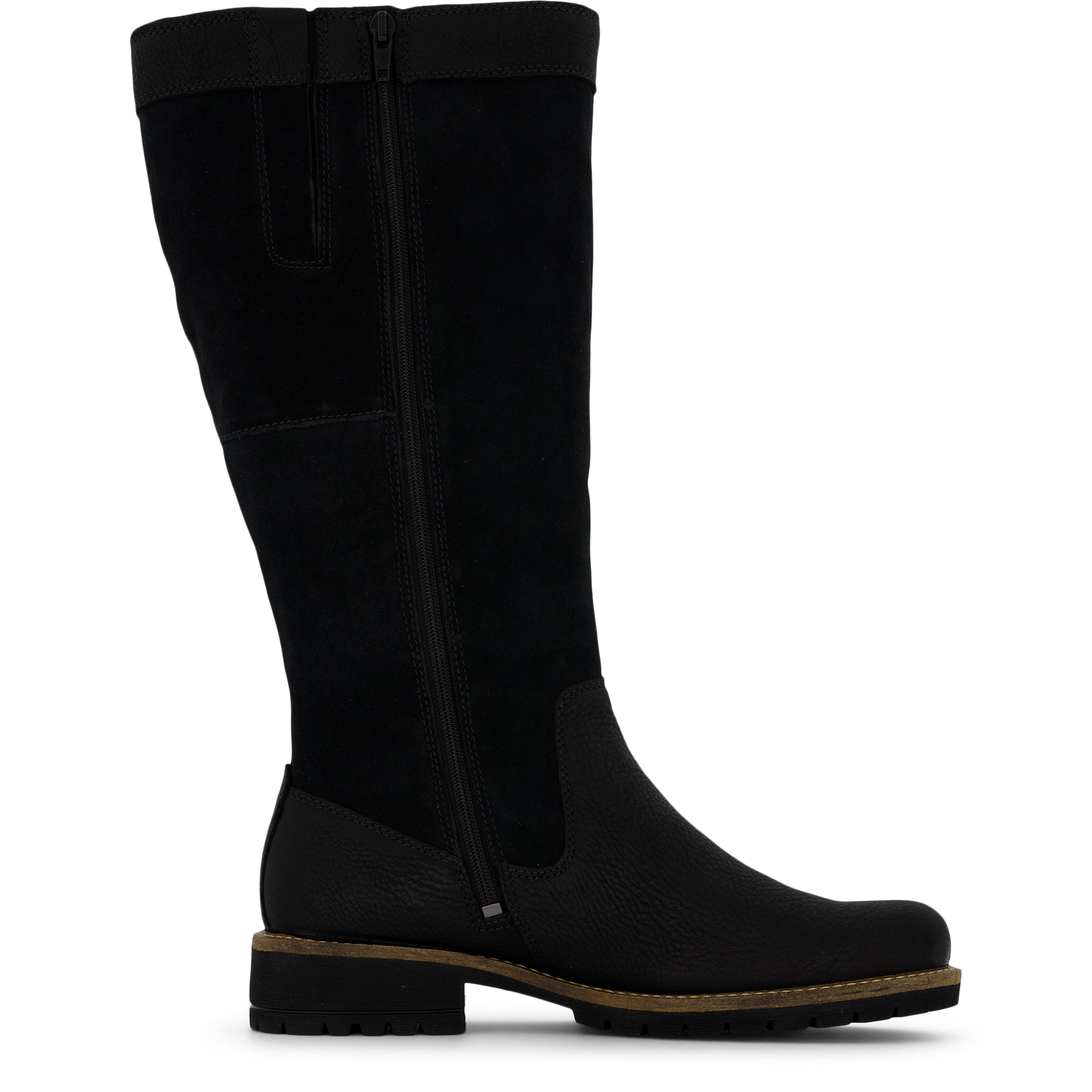 Elaine Black - Bild 3