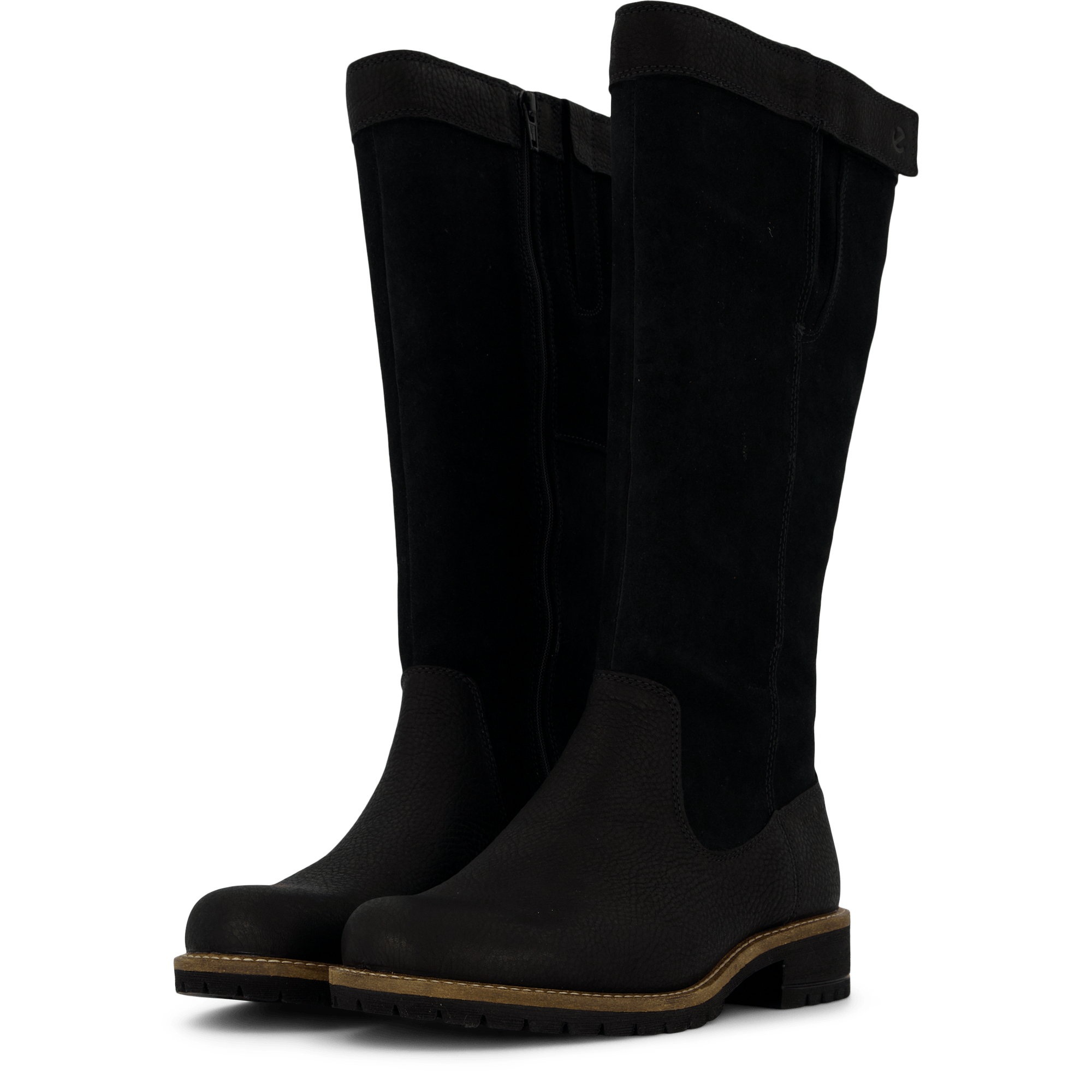 Elaine Black - Bild 5