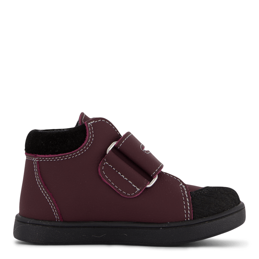 Fiskeby Xc Damson Plum - Bild 3