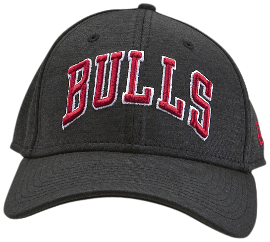 Bulls NBA Shadow Tch Wrdmrk 3930