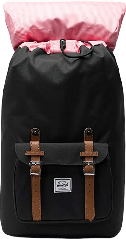 champion backpack marshalls