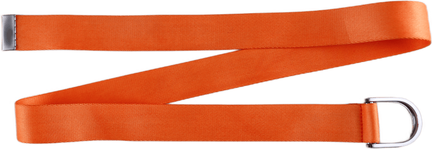 Logo Belt Orange
