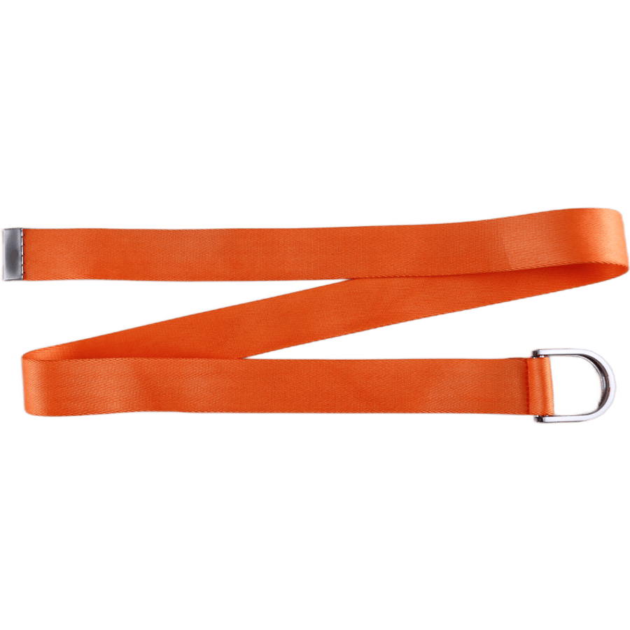 Logo Belt Orange