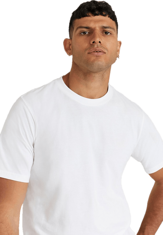 Dickies Tsht Pk White