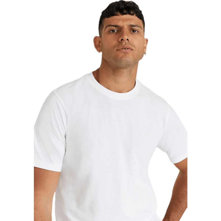 Dickies Tsht Pk White