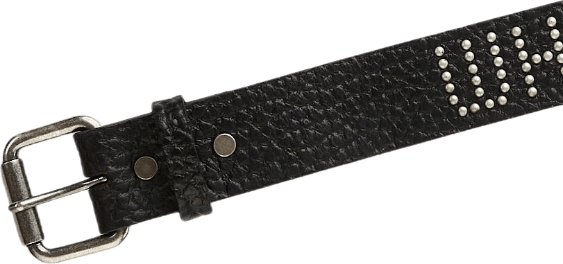 Wtfirgo Studs Belt Black - Bild 2