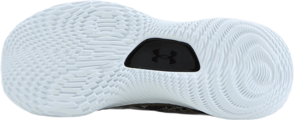 Curry 8 (GS) - Bild 4