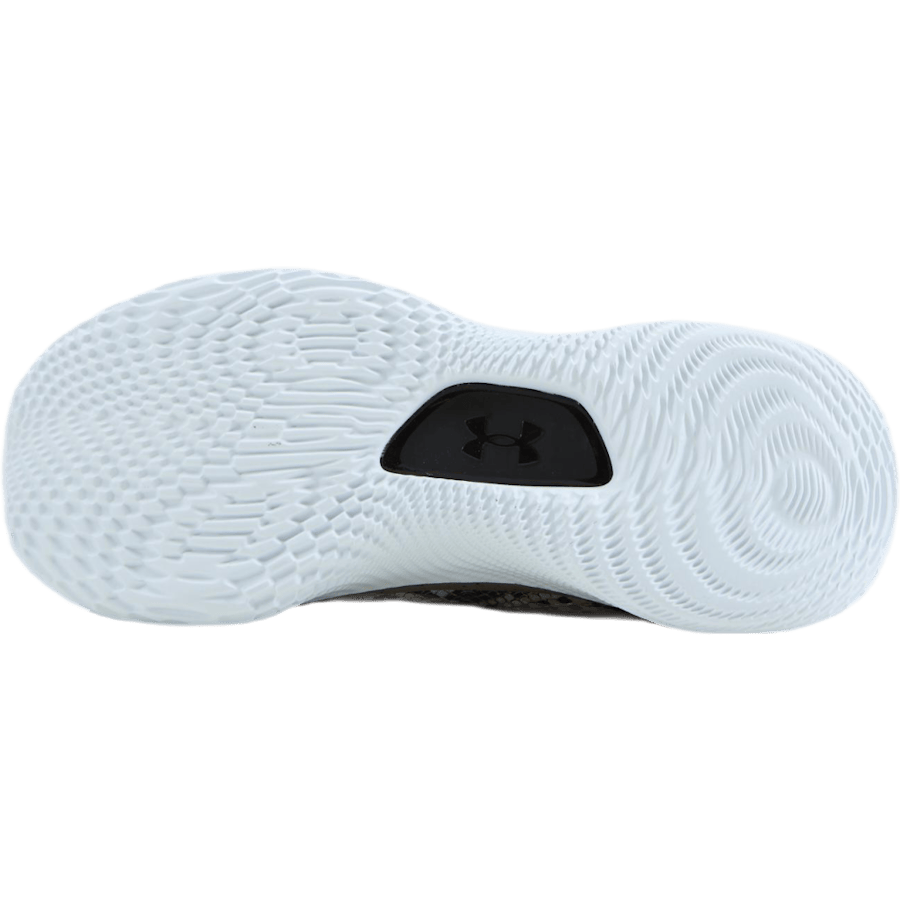 Curry 8 (GS) - Bild 4