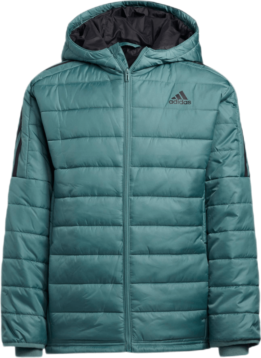 Puffer Jacket Tech Emerald, Unisex, Apparels, jackets, Workout, Blue, L