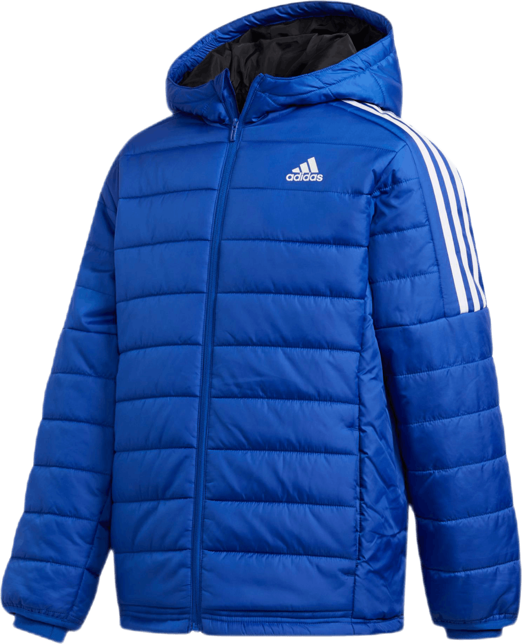 Puffer Jacket Team Royal Blue, Unisex, Apparels, jackets, Workout, Blue, M