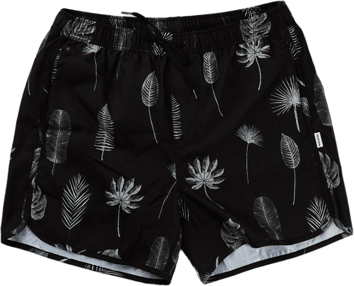 Swim Shorts Sandhamn Tropic Le Grey