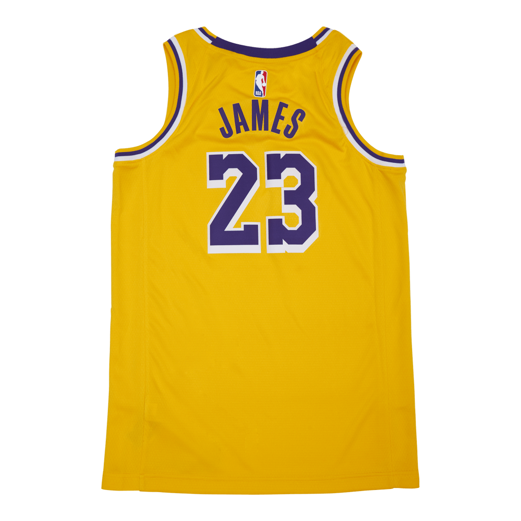 Lakers James Swgmn Jsy Icon 20 field james Le