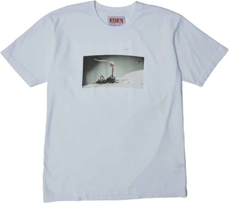 Cordicep Zombie Ant Recycled S White / Black