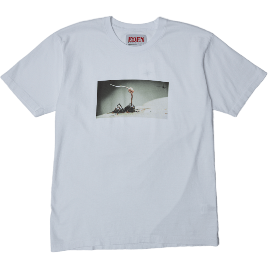 Cordicep Zombie Ant Recycled S White / Black