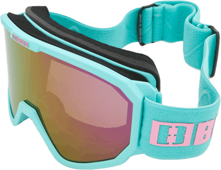 Rave Jr Matt Mint W Pink Logo, Unisex, Utrustning, glasögon, Alpina sporter, ONESIZE