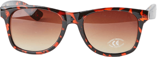 Spicoli 4 Shades Brown, Unisex, Udstyr, Solbriller, Brun, ONESIZE