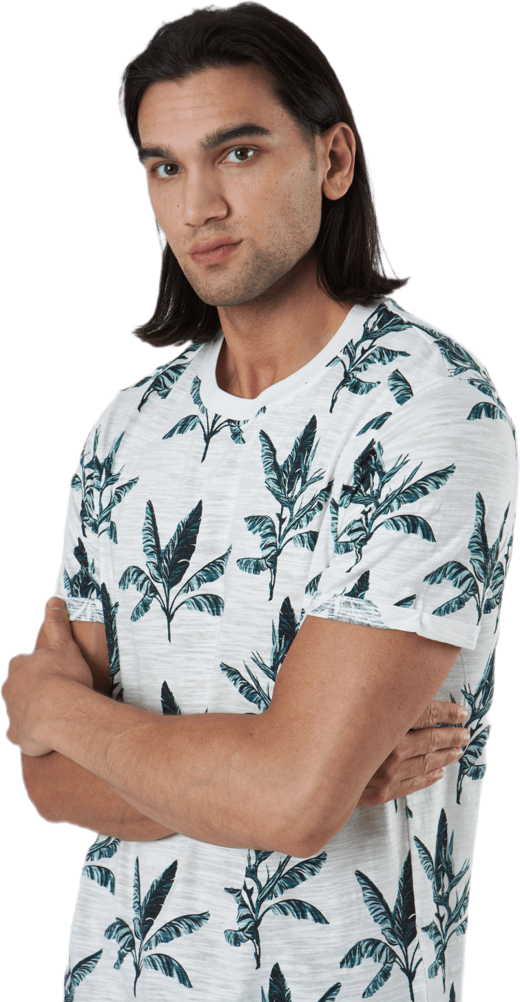 Beach Ss Tee Aop Ltn Beige, Male, Apparels, T-shirt, Multi color, S