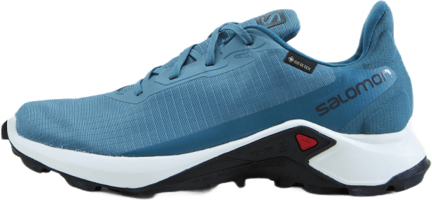 Alphacross 3 Gtx W Bluestone/wht/mallard Blue, Female, Topánky, Bežecké topánky, Beží, Modrá, EU 38