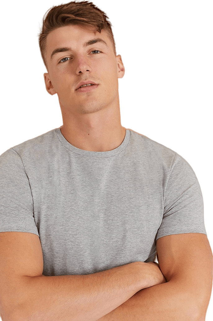 Crew-neck 2-pack, Male, Apparels, T-shirt, Grey, S