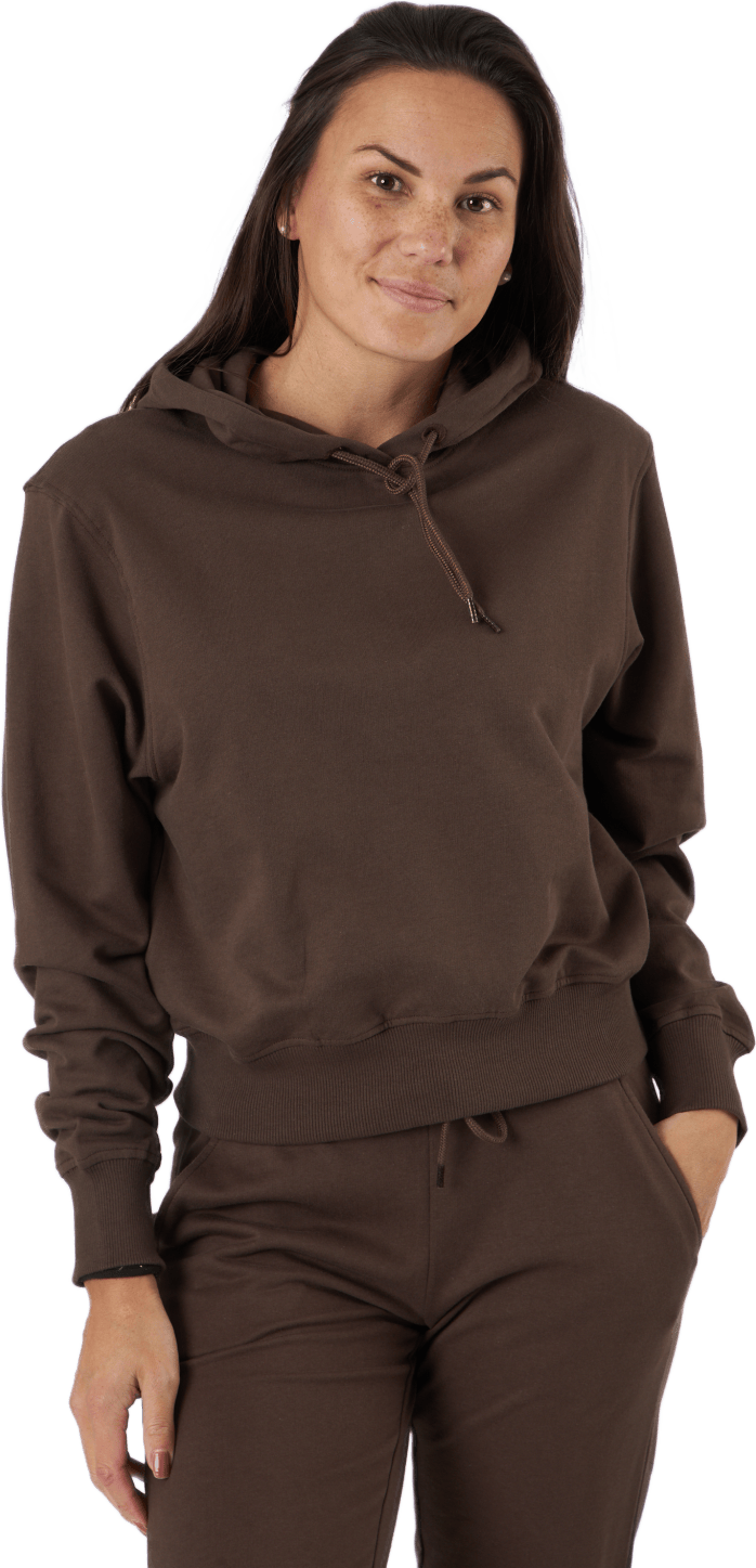Sb Hoodie Earth Brown