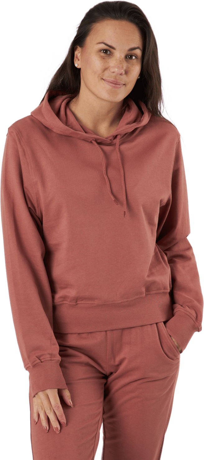 Sb Hoodie Dusty Rose